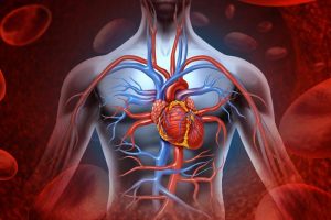 How To Quickly Lower Blood Cholesterol