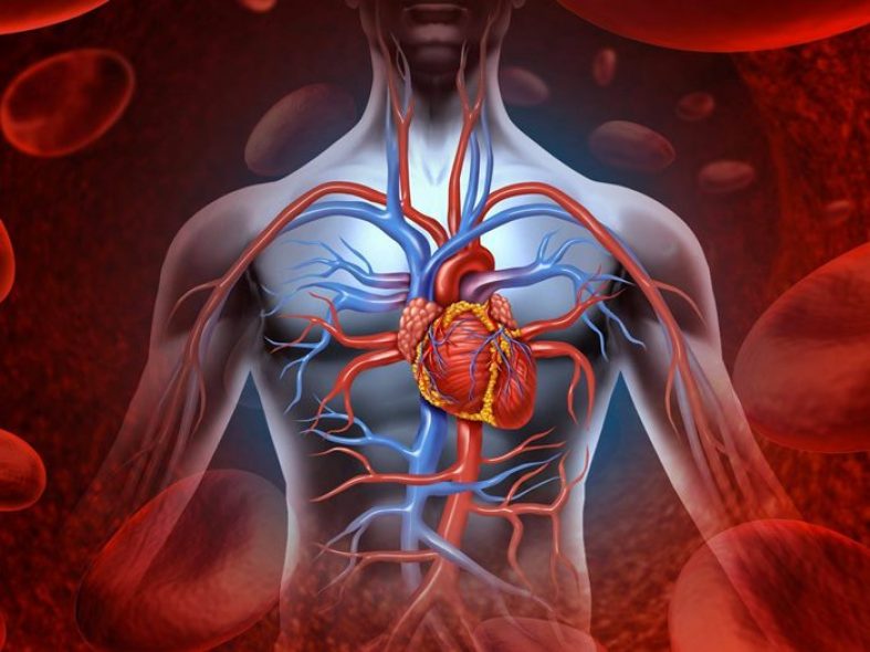 How To Quickly Lower Blood Cholesterol